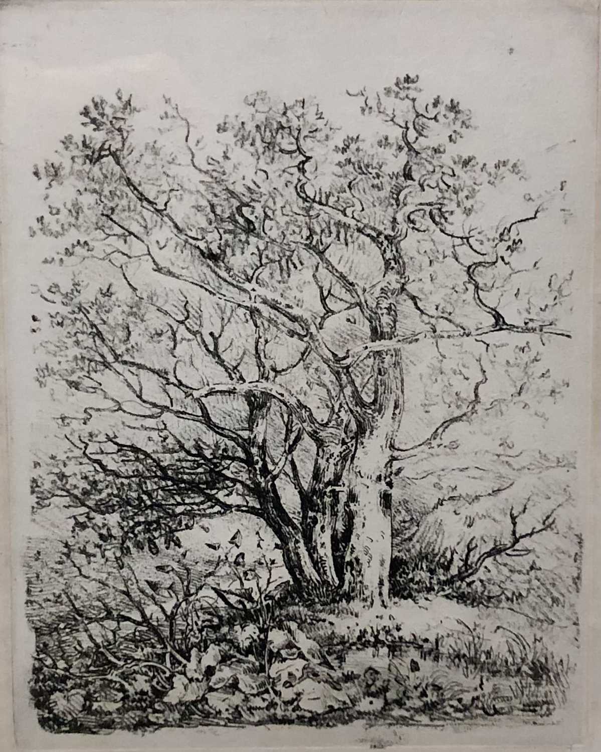 Lot 1 - John Crome (British, 18th / Early 19th Century...