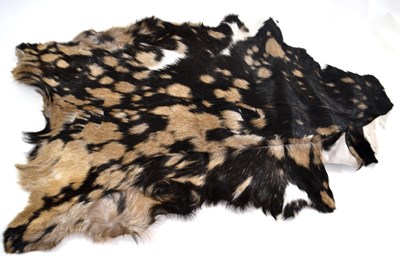 Lot 77 - goat skin rug
