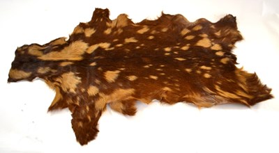 Lot 78 - goat skin rug