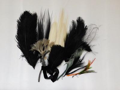 Lot 336 - A group of milleners/haberdashers feathers