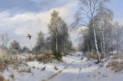 Lot 475 - Colin W.Burns (British, b.1944) "Woodcock and...