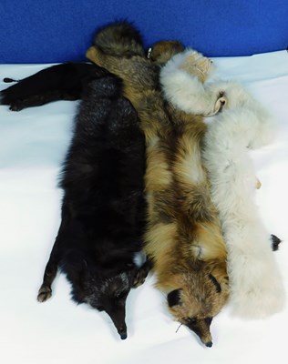 Lot 186 - Two fox fur stoles and a cream fur scarf (3)