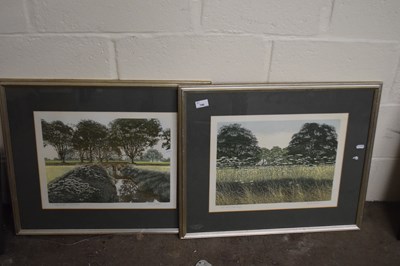Lot 746 - Pair of framed limited edition prints