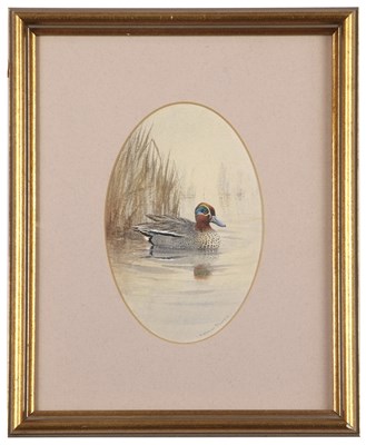 Lot 579 - Colin Burns (British, b.1944), "Teal Drake",...