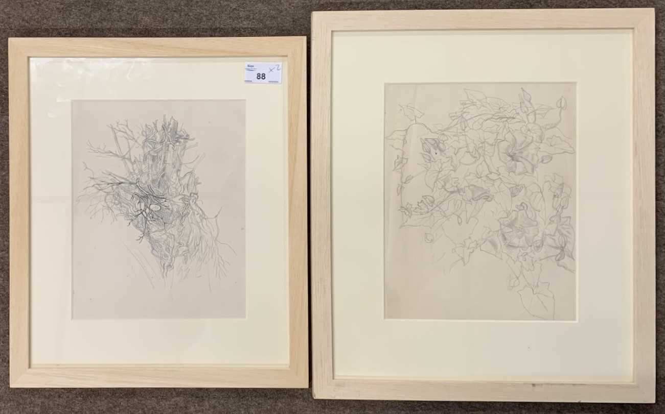 Lot 88 - John Aldridge RA (1905-1983), "Convolvulus...