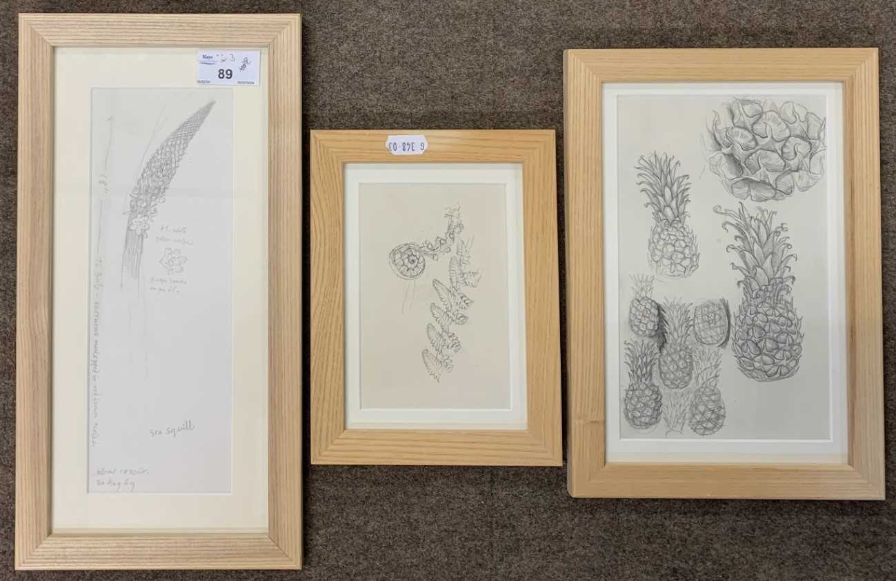 Lot 89 - John Aldridge RA (1905-1983), "Sea Squill"...