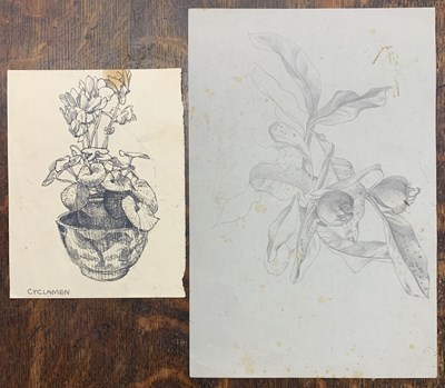 Lot 93 - John Aldridge RA (1905-1983), Leaf and fruit...