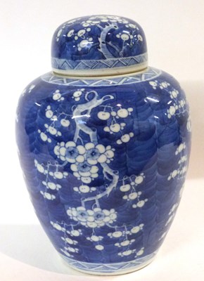 Lot 289 - A Chinese porcelain ginger jar and cover, 19th...
