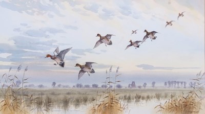 Lot 228 - John Paley (British, 20th century), "Wigeon at...