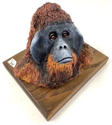 Lot 212 - M Nightingale: Ceramic Sculpture: Head of an Orang Utan