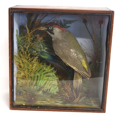Lot 7 - Victorian taxidermy cased European Green...