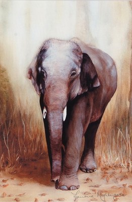 Lot 216 - M. Nightingale: 'Rajan' retired logging...