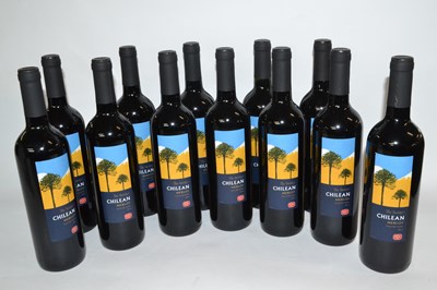 Lot 171 - The Wine Society, Chilean Merlot VAlle del...
