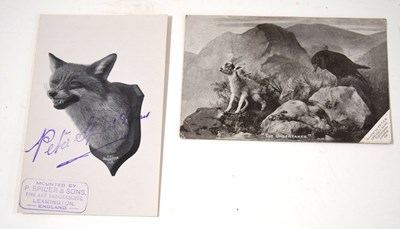 Lot 102 - Taxidermy interest - Two Peter Spicer of...