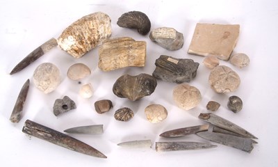 Lot 82 - Quantity of fossils to include Encrinite,...
