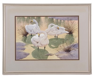Lot 151 - Noel William Cusa (British,1909-1990), Whooper...