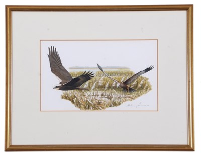 Lot 152 - Hilary Burn (British, b.1946), Marsh Harriers,...