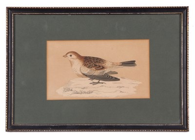 Lot 154 - Alexander Francis Lydon (Irish / British),...