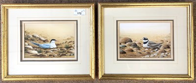 Lot 172 - Ralph Waterhouse (b.1943), 'Artic Tern' and...