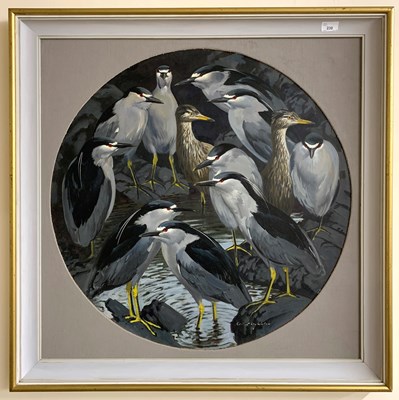 Lot 230 - Shackleton (K) MBE (1923 -2015) " Night Herons In the Tide Pools" Falklands