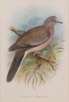 Lot 197 - Henrik Gronvold (Danish,1858-1940), 'Turtur...