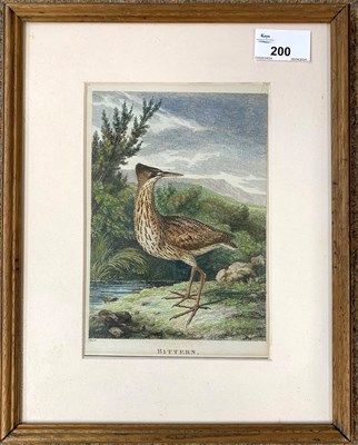 Lot 200 - Samuel Howitt (circa 1756-1822), Bittern,...