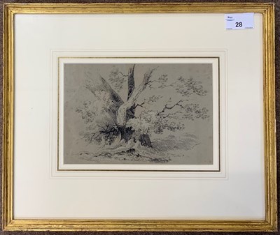 Lot 28 - British School, circa 19th century, study of a...