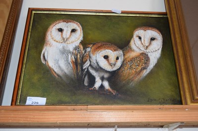 Lot 229 - Lorna Beckett, study of barn owls, oil on canvas