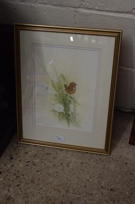 Lot 237 - Andrew Osborne, study of a Wren, framed and...