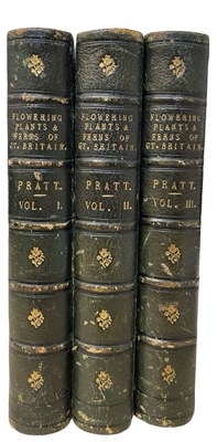 Lot 165 - ANNE PRATT: THE FLOWERING PLANTS AND FERNS OF...