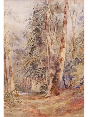 Lot 85 - John Middleton (British, 1827-1856), Woodland,...