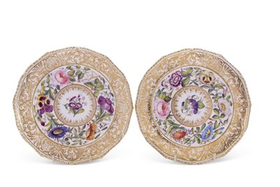Lot 61 - Two Derby (S&H) cabinet plates finely painted...