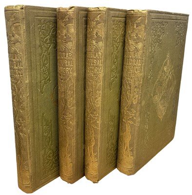 Lot 91 - CASSELL'S POPULAR NATURAL HISTORY, London,...