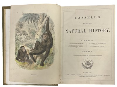 Lot 91 - CASSELL'S POPULAR NATURAL HISTORY, London,...