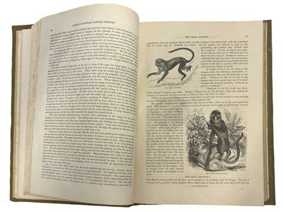 Lot 91 - CASSELL'S POPULAR NATURAL HISTORY, London,...