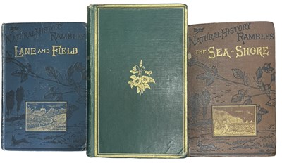 Lot 355 - RAMBLING INTEREST: 3 Titles: MARGARET PLUES:...