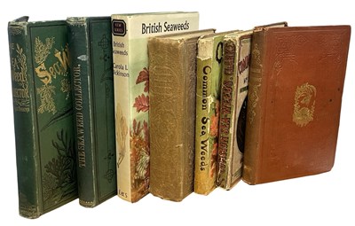 Lot 383 - SEAWEED: 7 Titles: SHIRLEY HIBBERD: THE...