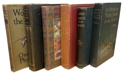 Lot 384 - THE SEA-SHORE: 6 Titles: F MARTIN DUNCAN:...
