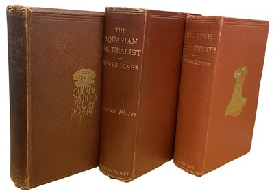 Lot 386 - OCEAN-LIFE: 3 Titles: LOUIS FIGUIER: THE OCEAN...