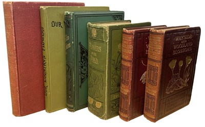 Lot 374 - WILD FLOWERS: 6 Titles: W S FURNEAUX: FIELD...