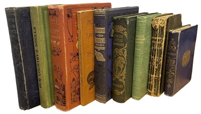 Lot 392 - SEASHELLS: 9 Titles: AGNES CATLOW: POPULAR...