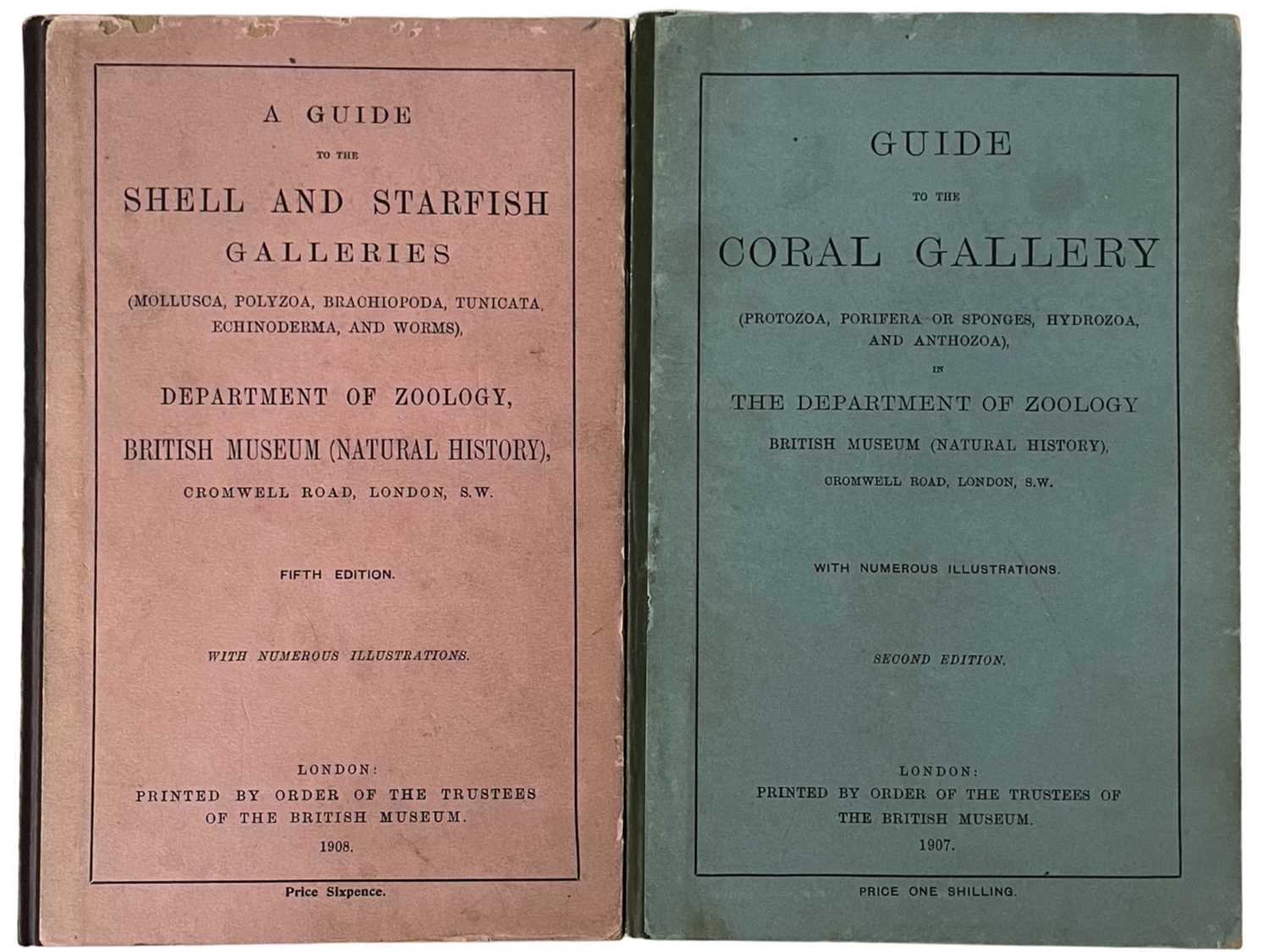 Lot 101 - GUIDE TO THE CORAL GALLERY / A GUIDE TO THE...
