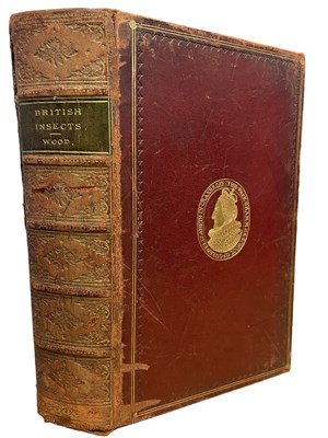 Lot 401 - REV J G WOOD: INSECTS AT HOME, BEING A POPULAR...
