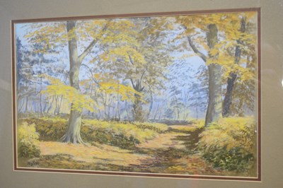 Lot 314 - Mary Slater, dated '82, pastel, 'Autumn sun in...