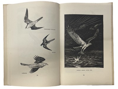 Lot 111 - ROLAND GREEN: WING-TIPS - THE IDENTIFICATION...