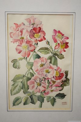 Lot 220 - Mary Cusa 'Mrs Hall's Roses', watercolour,...