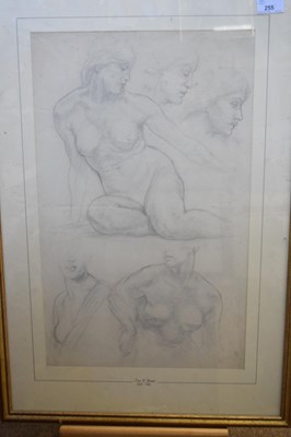 Lot 255 - Tom W Armes (1894-1963), Nude studies, pencil...