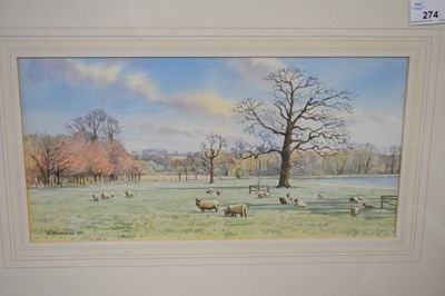 Lot 274 - Diane Branscombe, 'Sheep at Blickling',...