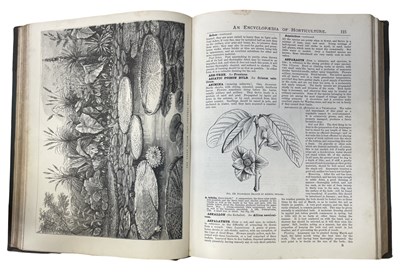 Lot 80 - GEORGE NICHOLSON: THE ILLUSTRATED DICTIONARY...