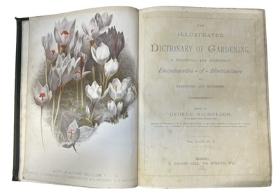 Lot 78 - GEORGE NICHOLSON: THE ILLUSTRATED DICTIONARY...